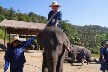 Elephant Riding Technique Training