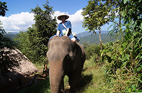 Elephant Trekking, Thailand