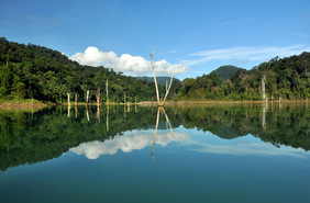 Kao Sok National Park, Thailand