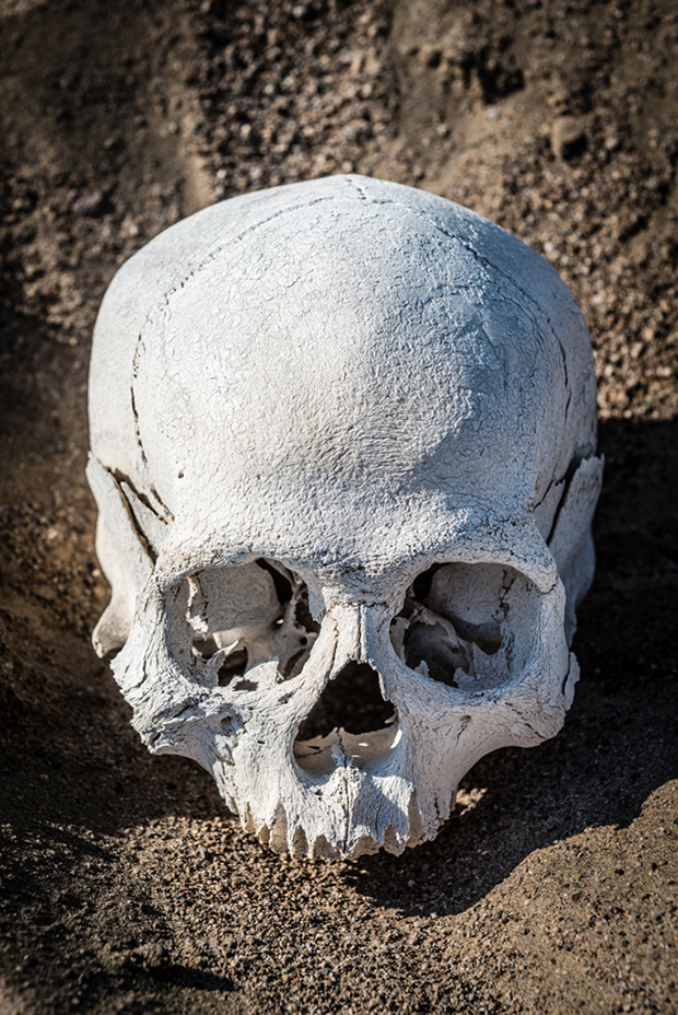 2000 Years Old Skull Found in the Desert