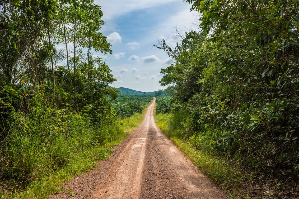 Road crossing oil palm plantations in Sabah, Borneo, Malaysia