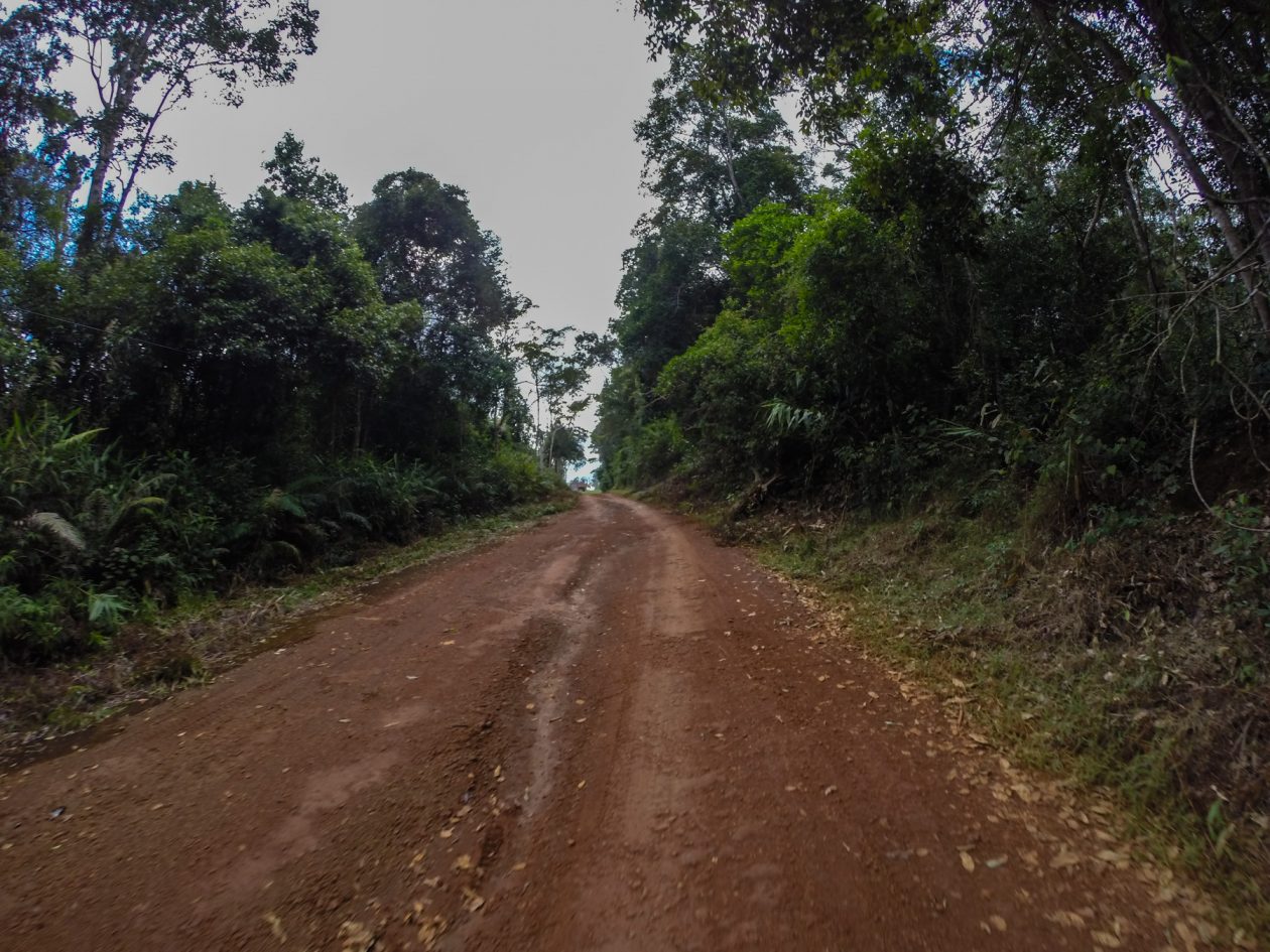 A wet dirt track in the Vietnamese jungle that Google Maps recomended